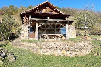 Casa de vacanta din busteni, zona superba la 27 km de Oradea anunturi imobiliare Bihor