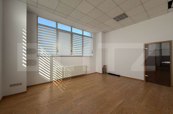 Birou de inchiriat DUMBRAVITA - Timis anunturi imobiliare Timis