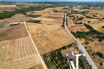 Teren construibil 6.831 mp în Kallifitos, Drama anunturi imobiliare Grecia