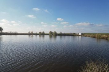 Pescărie cu resursă naturală de apă anunturi imobiliare Timis