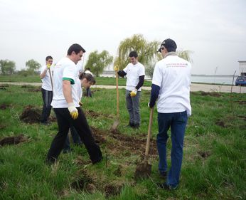 Voluntarii DTZ Echinox au plantat sambata, 16 aprilie 2011 peste 450 de arbori pe insula „Lacul Morii’