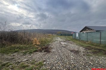 Teren Intravilan de vanzare CENTRAL - Bacau anunturi imobiliare Bacau