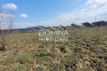 Teren de vanzare DRAGUTESTI - Gorj anunturi imobiliare Gorj