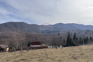 Teren 1,697mp Cisnadioara / Strada Silvicultorilor anunturi imobiliare Sibiu