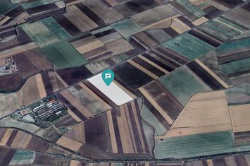 Teren Extravilan de vanzare SEITIN - Arad anunturi imobiliare Arad