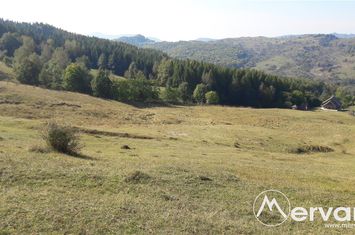 Teren Intravilan de vanzare BREAZA - Prahova anunturi imobiliare Prahova
