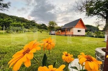 Casă - 2 camere de vanzare BLAJ - Alba anunturi imobiliare Alba