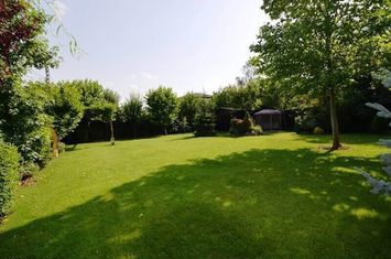 Vilă - 5 camere de inchiriat PIPERA - Bucuresti anunturi imobiliare Bucuresti