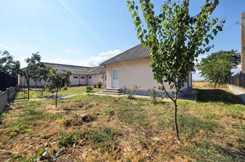 Casă - 5 camere de vanzare JURILOVCA - Tulcea anunturi imobiliare Tulcea