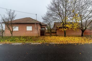 De vânzare Casă cu Grădină Generoasă in Dorobanți anunturi imobiliare Arad