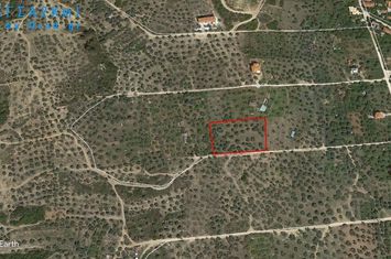Teren 3776 mp în Limenaria, Thassos anunturi imobiliare Grecia