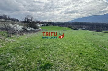 Teren Intravilan de vanzare AMPOITA - Alba anunturi imobiliare Alba