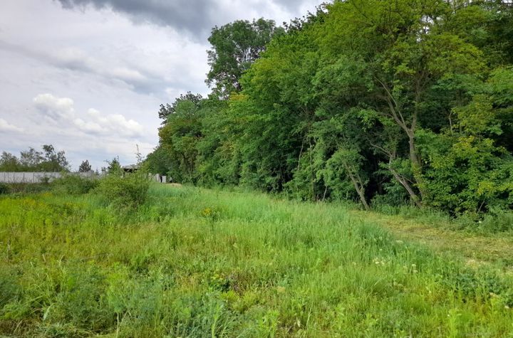 Izvorani Ciolpani  588mp, zona de vile noi in apropierea padurii anunturi imobiliare Bucuresti