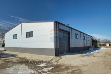 Hale industriale de închiriat în Tg Neamț anunturi imobiliare Neamt
