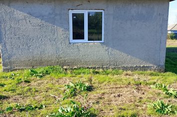 casa la rosu Pecineaga anunturi imobiliare Constanta