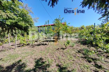 Casă - 6 camere de vanzare IASI - Iasi anunturi imobiliare Iasi