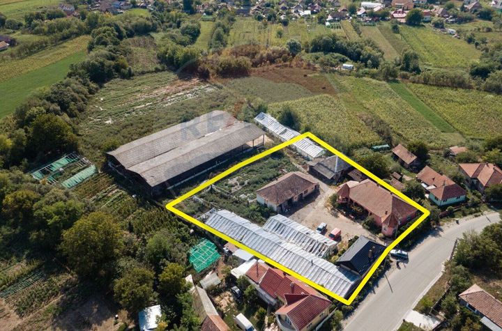 Casă cu teren și anexe, curte generoasă, potențial uriaș anunturi imobiliare Cluj