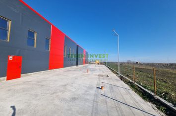 Hala Industrială de Vânzare – Locație Ideală pentru Afacerea Ta! anunturi imobiliare Bucuresti