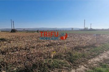 Teren Intravilan de vanzare CENTRAL - Alba anunturi imobiliare Alba