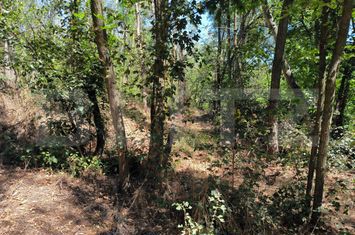 Teren de inchiriat TARGOVISTE - Dambovita anunturi imobiliare Dambovita