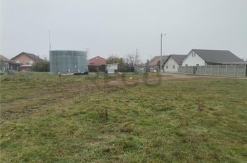Teren Intravilan de vanzare BIHARIA  - Bihor anunturi imobiliare Bihor
