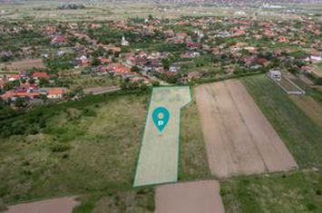 Teren extravilan Urseni, Timiş anunturi imobiliare Timis