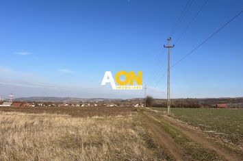 Teren de vanzare, 1300mp anunturi imobiliare Alba