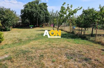 Casa 4 camere, 2 bai, 2 bucatarii, 1050 mp teren, zona Centru anunturi imobiliare Alba