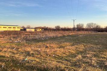 Teren de vanzare RADAUTI - Suceava anunturi imobiliare Suceava