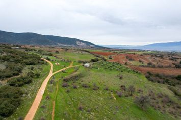 Teren construibil 5.500 mp în Xiropotamos, Drama anunturi imobiliare Grecia