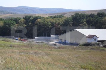 Spațiu industrial de vanzare DEJ - Cluj anunturi imobiliare Cluj