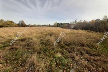 Teren Intravilan de vanzare AVRIG - Sibiu anunturi imobiliare Sibiu