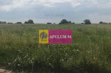 Teren Berceni- Tarla 16. anunturi imobiliare Bucuresti