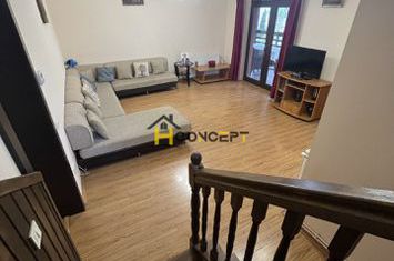 Inchiriere vila spatioasa si curte generoasa Clinceni anunturi imobiliare Bucuresti