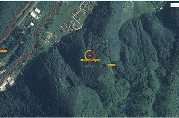 Teren Intravilan de vanzare SACELE - Brasov anunturi imobiliare Brasov