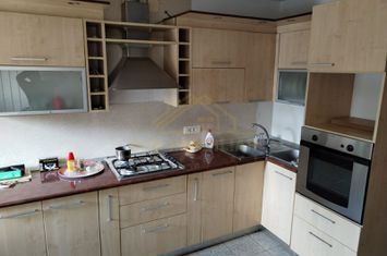 OFERTA-CASA INDIVIDUALA S+P+M-PISCINA-1400 MP TEREN-LEORDENI anunturi imobiliare Bucuresti