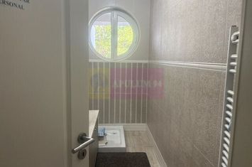 Vila D+P+1+M cu teren 446 mp Drumul Sarii. anunturi imobiliare Bucuresti