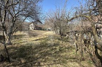 Teren de vanzare VALCELE - Cluj anunturi imobiliare Cluj