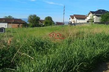 Teren Intravilan de vanzare GUSTERITA - Sibiu anunturi imobiliare Sibiu