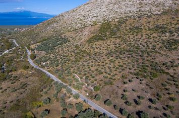 Teren construibil 9995,53 mp în Mikros Prinos anunturi imobiliare Grecia