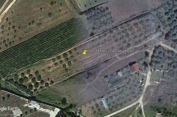 Teren 6.900 mp în Agios Andreas, cu vedere la mare anunturi imobiliare Grecia