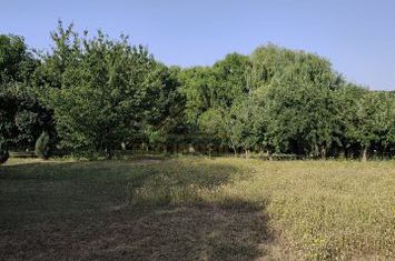 Casa particulara 9 camere, comuna Frumusani, teren 5000mp, suprafata utila 460mp anunturi imobiliare Calarasi