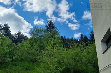 Apartament 2 camere de vanzare CENTRAL - Brasov anunturi imobiliare Brasov
