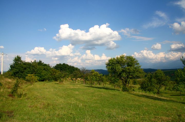Teren de vanzare DAIA - Sibiu anunturi imobiliare Sibiu