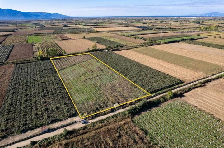 Teren pentru cultură kiwi 13.368 mp în Chrysochori anunturi imobiliare Grecia
