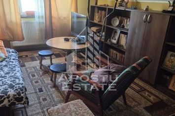 Vila D+P+1E anunturi imobiliare Timis