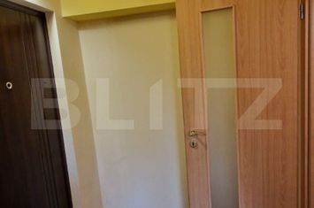 Garsonieră de vanzare LIPOVEI - Timis anunturi imobiliare Timis