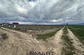 Teren de vanzare HARMAN - Brasov anunturi imobiliare Brasov