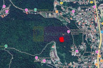 Teren de vanzare in Predeal anunturi imobiliare Brasov