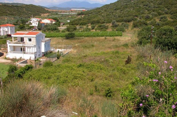 Teren agricol 1908 mp între Nea Peramos și N.Irakleitsa anunturi imobiliare Grecia